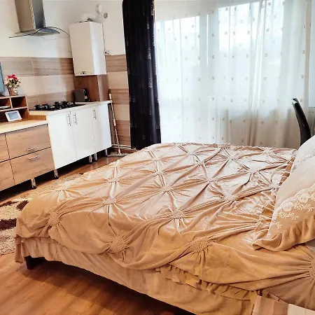 Homestay szállás Casa De Vis *